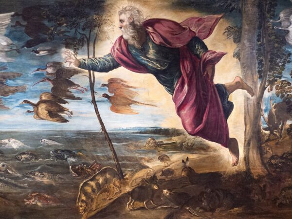God sweeps through the air as birds, fish and beasts spring into life at his word.