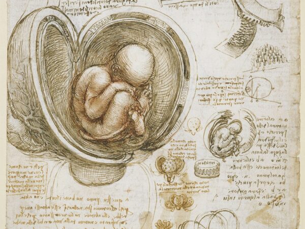Leonardo da Vinci’s anatomical drawing of a foetus in the womb