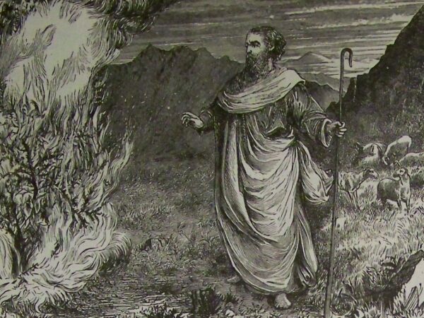 Moses kneels before a bush burning with fire.