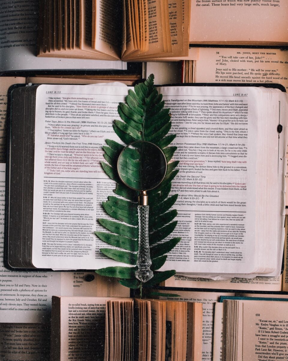 blake cheek 6msKBfnPTgk unsplash