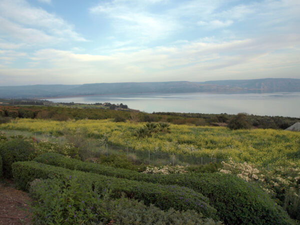 View over the Sea of Galilee from the Mount of the Beatitudes